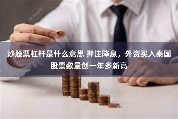 炒股票杠杆是什么意思 押注降息，外资买入泰国股票数量创一年多新高