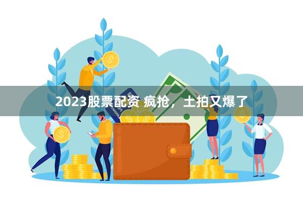 2023股票配资 疯抢，土拍又爆了