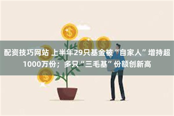 配资技巧网站 上半年29只基金被“自家人”增持超1000万份；多只“三毛基”份额创新高