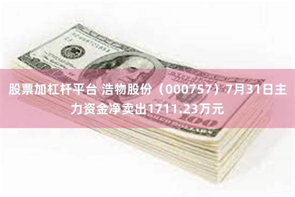 股票加杠杆平台 浩物股份（000757）7月31日主力资金净卖出1711.23万元