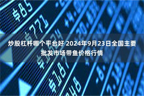 炒股杠杆哪个平台好 2024年9月23日全国主要批发市场带鱼价格行情