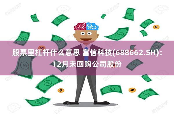 股票里杠杆什么意思 富信科技(688662.SH)：12月未回购公司股份