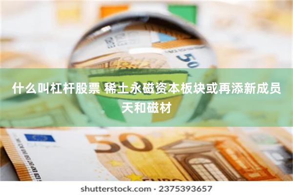 什么叫杠杆股票 稀土永磁资本板块或再添新成员天和磁材