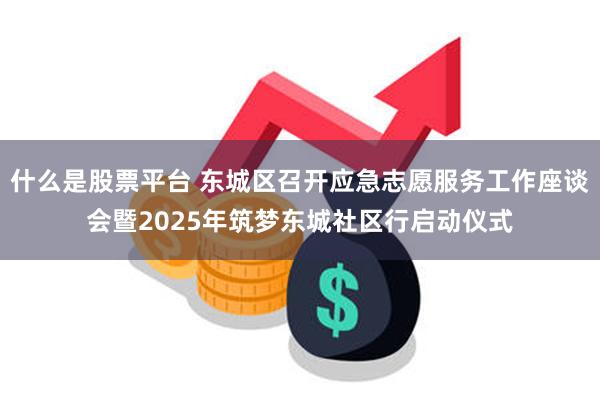 什么是股票平台 东城区召开应急志愿服务工作座谈会暨2025年筑梦东城社区行启动仪式