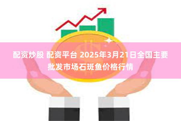 配资炒股 配资平台 2025年3月21日全国主要批发市场石斑鱼价格行情